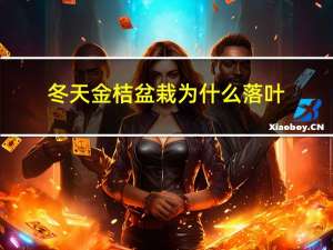 冬天金桔盆栽为什么落叶