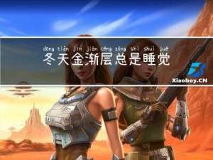 冬天金渐层总是睡觉