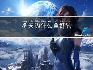 冬天钓什么鱼好钓