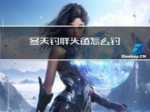 冬天钓胖头鱼怎么钓