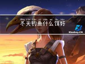 冬天钓鱼什么饵好