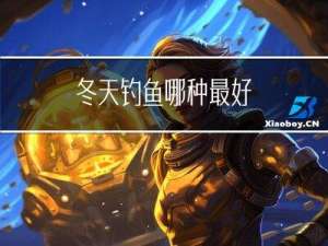 冬天钓鱼哪种最好