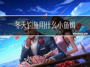 冬天钓鱼用什么小鱼饵