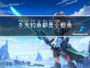 冬天钓鱼都是小鲫鱼
