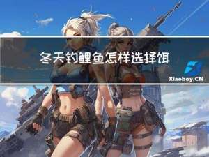 冬天钓鲤鱼怎样选择饵料