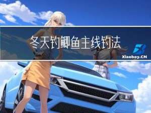 冬天钓鲫鱼主线钓法