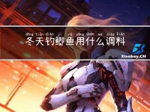 冬天钓鲫鱼用什么调料