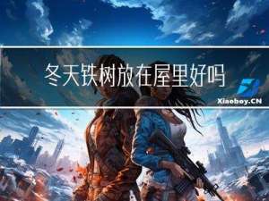 冬天铁树放在屋里好吗