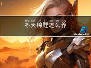 冬天锦鲤怎么养