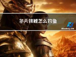 冬天锦鲤怎么钓鱼