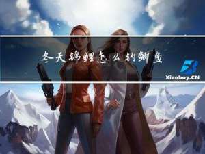 冬天锦鲤怎么钓鲫鱼