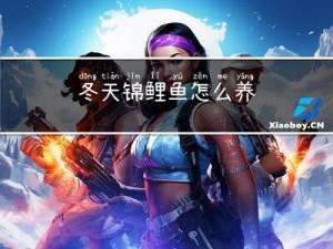 冬天锦鲤鱼怎么养