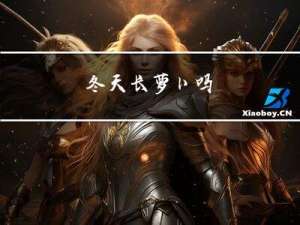 冬天长萝卜吗