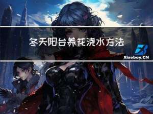 冬天阳台养花浇水方法