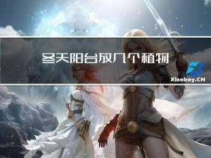 冬天阳台放几个植物