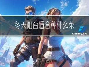 冬天阳台适合种什么菜