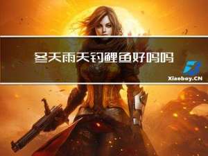 冬天雨天钓鲤鱼好吗吗