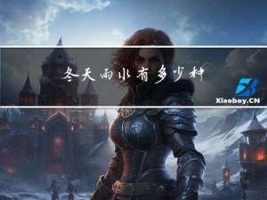 冬天雨水有多少种