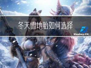 冬天雪地胎如何选择