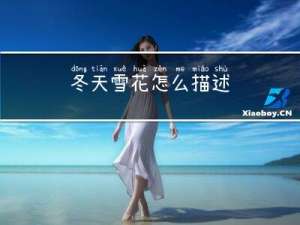 冬天雪花怎么描述