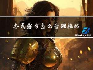 冬天露台怎么管理施肥