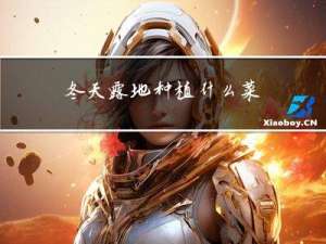 冬天露地种植什么菜