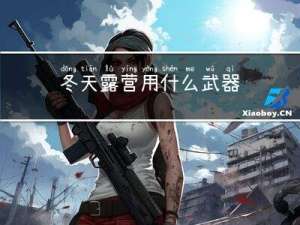 冬天露营用什么武器