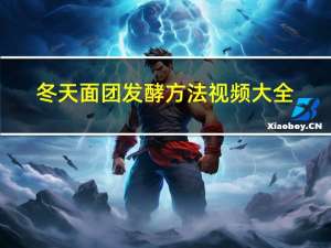 冬天面团发酵方法视频大全