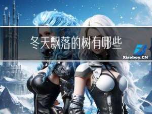 冬天飘落的树有哪些