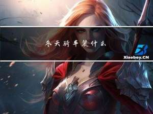 冬天骑车装什么