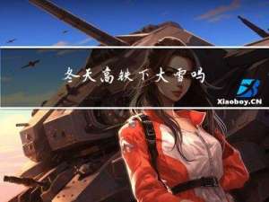 冬天高铁下大雪吗