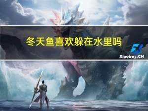 冬天鱼喜欢躲在水里吗