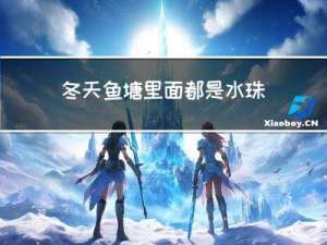 冬天鱼塘里面都是水珠