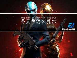 冬天鱼怎么养水