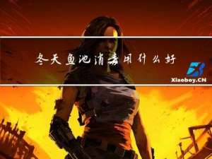 冬天鱼池消毒用什么好