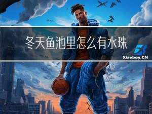 冬天鱼池里怎么有水珠