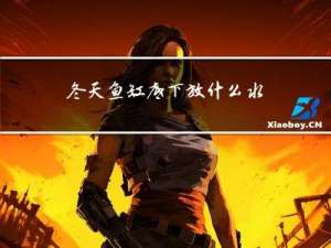 冬天鱼缸底下放什么水草