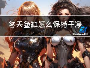 冬天鱼缸怎么保持干净整洁