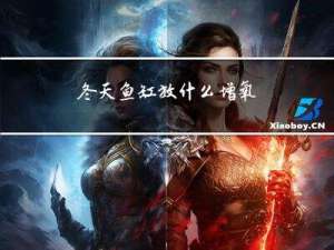 冬天鱼缸放什么增氧