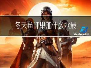 冬天鱼缸里加什么水最好