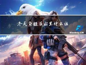 冬天鱼躲在水里什么位置