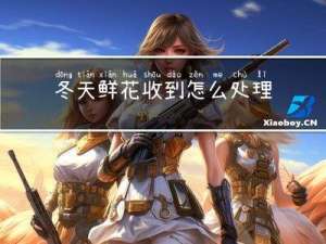 冬天鲜花收到怎么处理