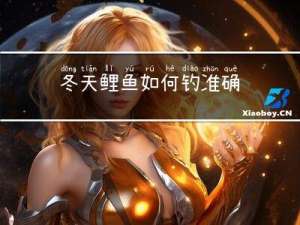 冬天鲤鱼如何钓准确