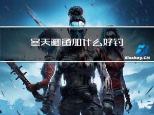 冬天鲫鱼加什么好钓