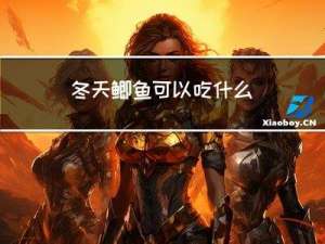 冬天鲫鱼可以吃什么