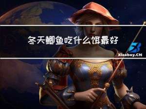 冬天鲫鱼吃什么饵最好