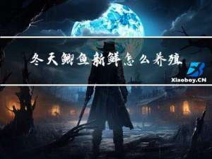 冬天鲫鱼新鲜怎么养殖