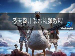 冬天鸟儿喝水视频教程