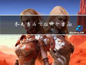 冬天鸟儿飞往哪个方向