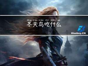 冬天鸟吃什么
